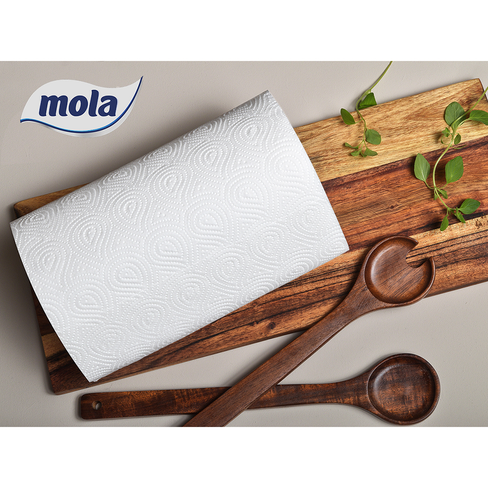 Mola zdjęcie produktu ręcznik papierowy